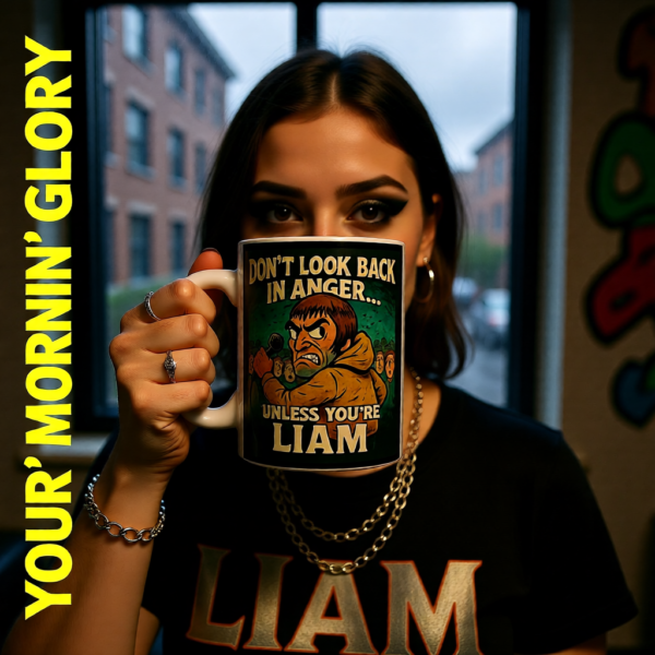 20251214200248-1f0d927d-d5e1-650c-95c1-5a668d627bd0.png Oasis Don't Look Back In Anger Mug, Inspirational Coffee Cup, Gift for Friends, Unique Birthday Present, Tea Lover's Delight